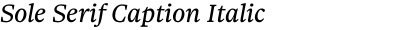 Sole Serif Caption Italic